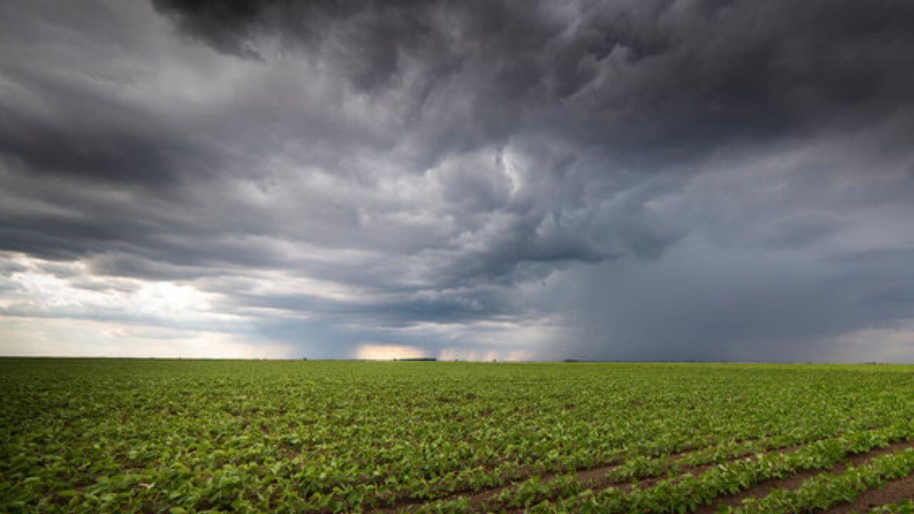 राज्यावर अवकाळी पावसाचे संकट कायम, ‘या’ जिल्ह्यांत पाऊस बरसण्याची शक्यता