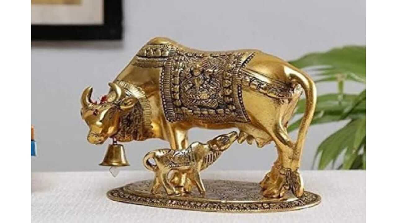 घरामध्ये ‘या’ ठिकाणी ठेवा कामधेनू गाईची मूर्ती, चमकेल तुमचे नशीब