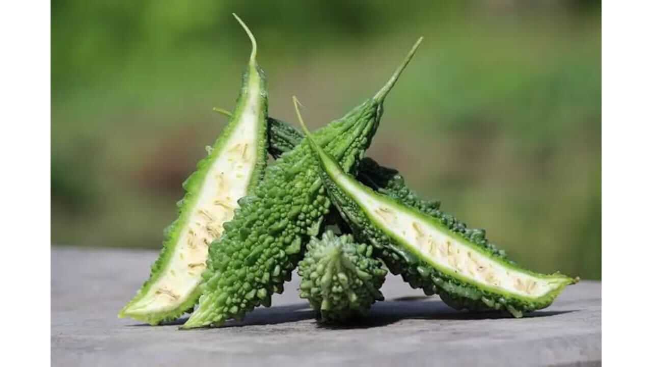 कारलं केसांसाठी वरदान जाणून घ्या फायदे…