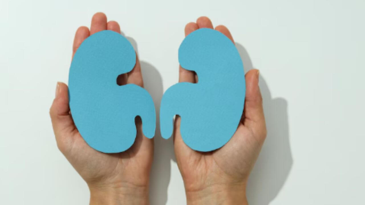 किडनीमधील घाण स्वच्छ करण्यासाठी दररोज प्या ५ ड्रिंक्स, लगेच होईल स्वच्छ