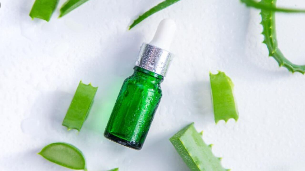 चेहेऱ्यावर ग्लो हवा असेल तर घरीच बनवा अॅलोवेरा सीरम, जाणून घ्या बनवण्याची पद्धत