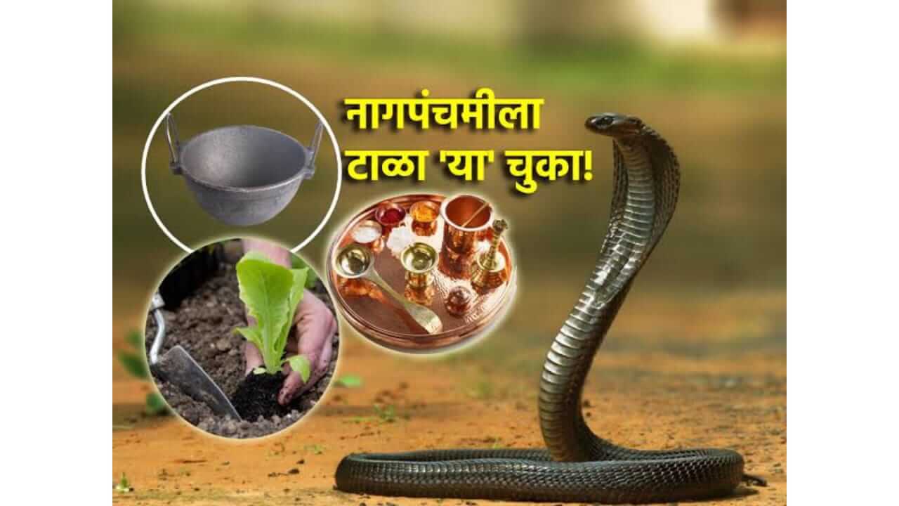 Nag Panchami 2025 : नागपंचमीच्या दिवशी काय करावे काय करु नये, जाणून घ्या…
