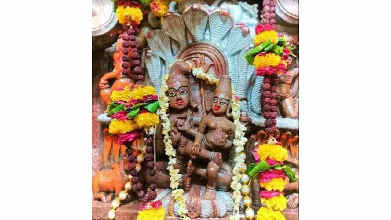 नागपंचमीच्या दिवशीच उघडले जातात ‘या’ मंदिराचे दरवाजे, वाचा पौराणिक कथा