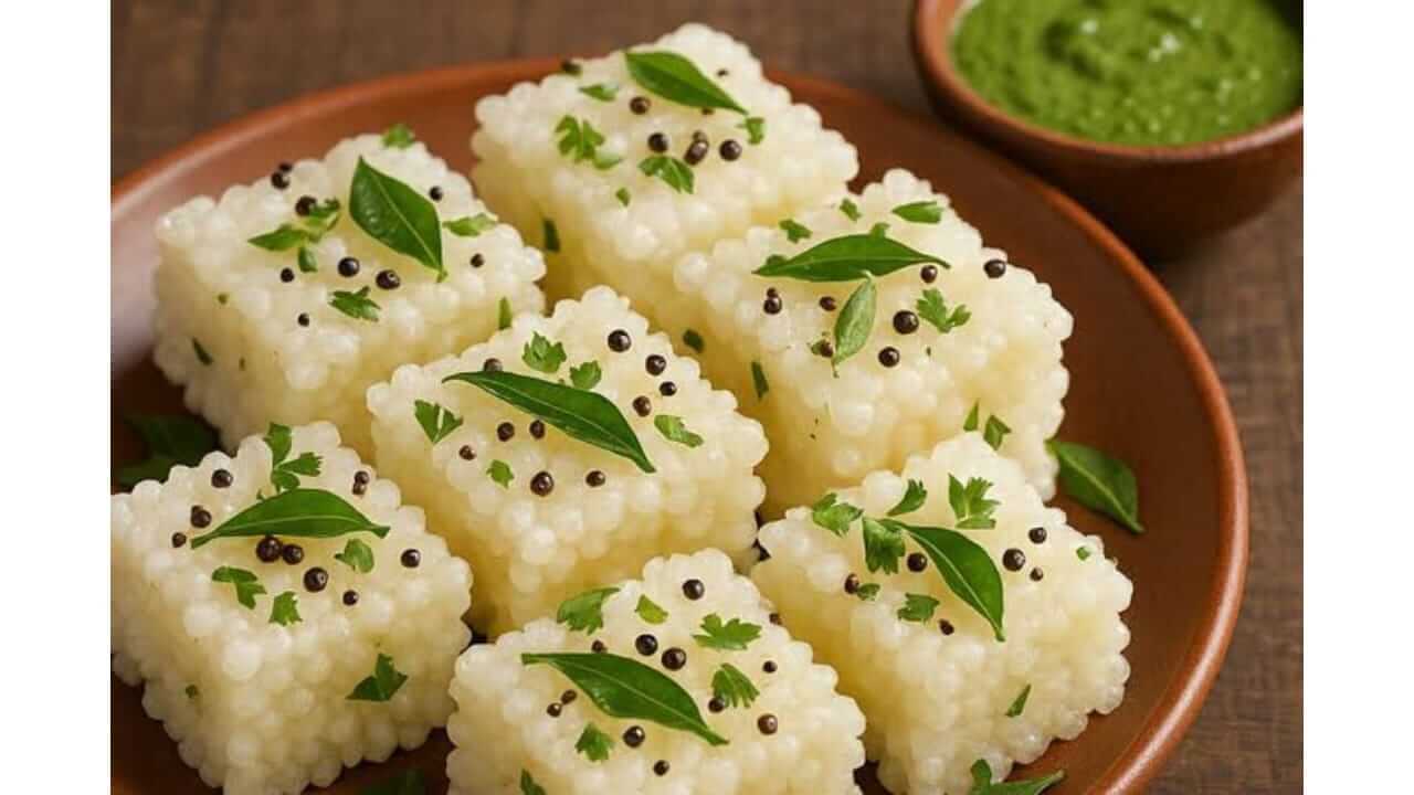 Shravan Special Recipe : श्रावणात उपवासाला बनवा साबुदाणा ढोकळा ही सोपी रेसिपी नक्की ट्राय करा…