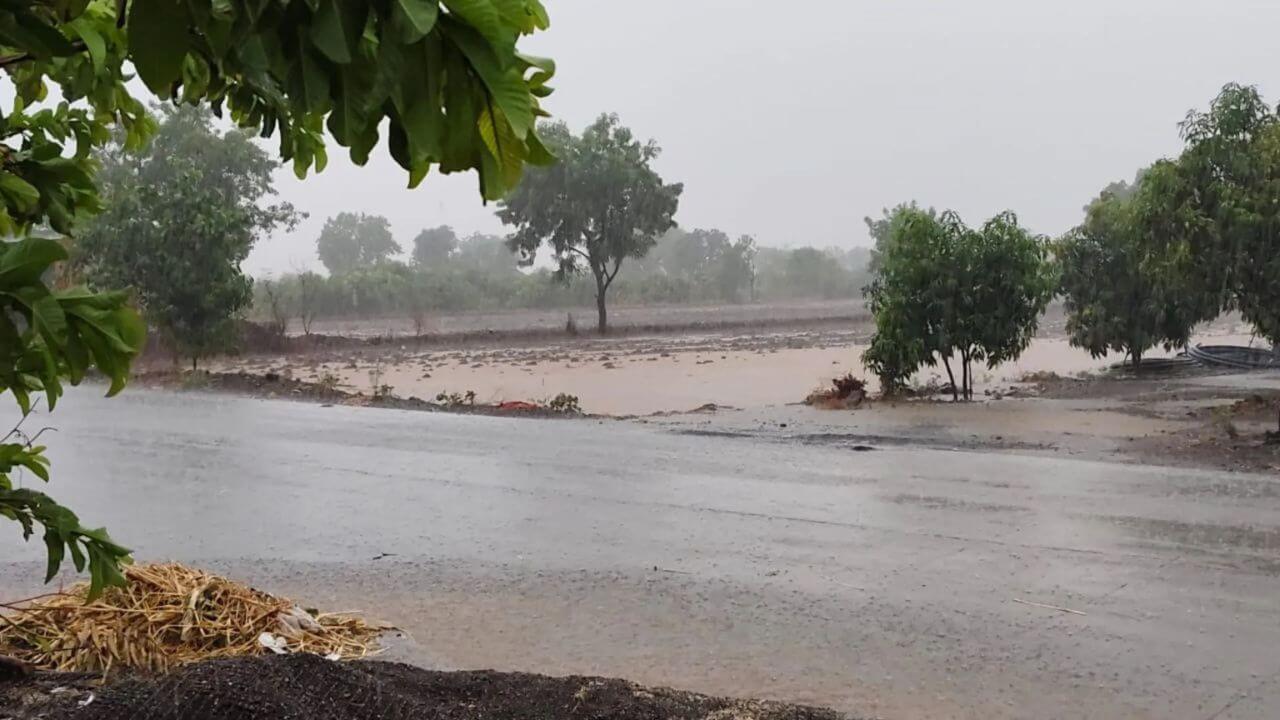 अहिल्यानगर जिल्ह्यात मुसळधार पावसाचा कहर; पाथर्डी तालुक्यात पिकांचे मोठे नुकसान