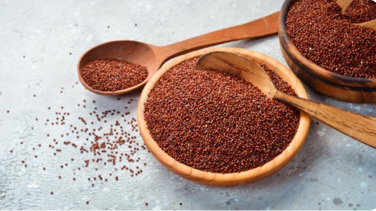 डायबिटीस ते अशक्तपणा दूर करण्यापर्यंत फायदेशीर आहे नाचणी, दररोज सेवन केल्यास मिळतील फायदेच-फायदे