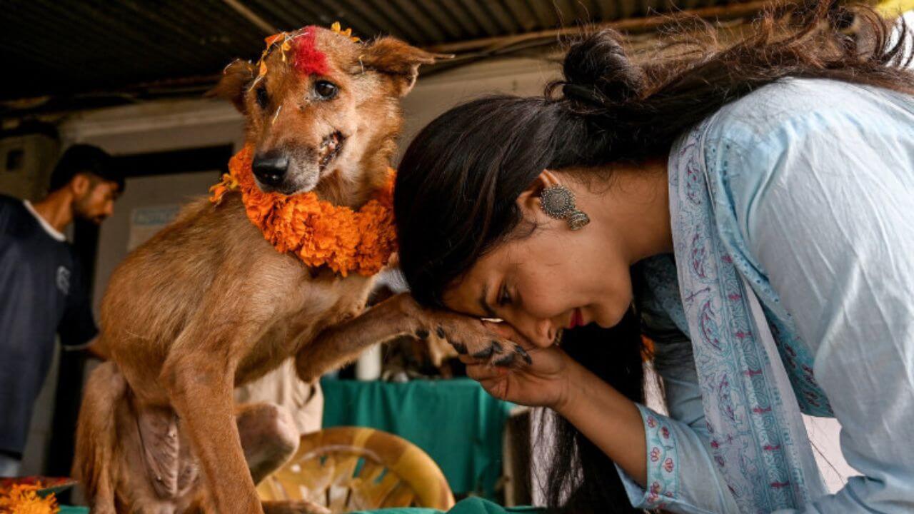 Diwali 2025 : दिवाळीनिमित्त कुत्र्यांची पूजा; कुठे आहे विचित्र परंपरा