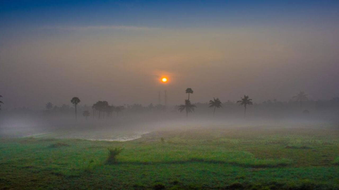 Cold Wave Alert: मुंबई-पुण्यासह उत्तर महाराष्ट्रात थंडीची लाट; पारा घसरला!