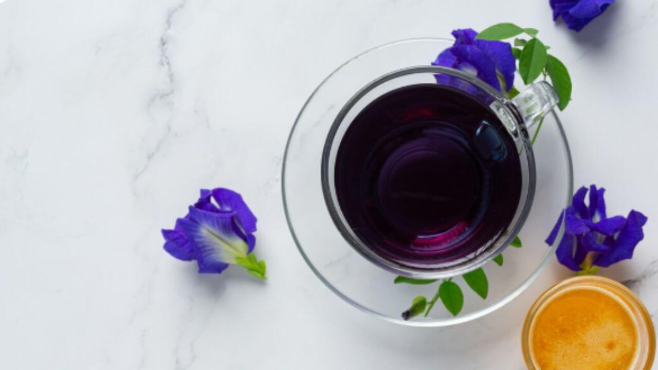 दररोज प्या गोकर्णीच्या फुलांचा निळाशार चहा, ताणतणाव दूर होण्यासपासून मिळतील अनेक फायदे