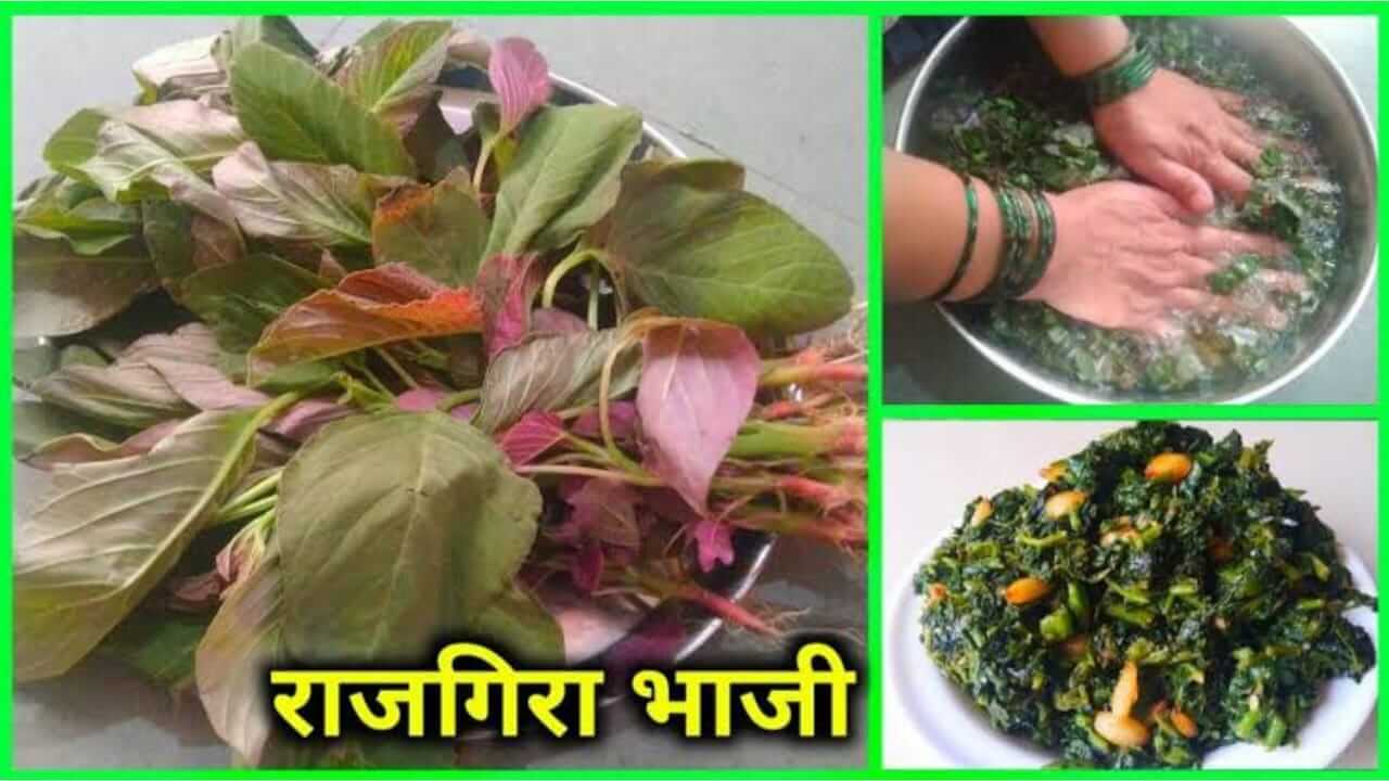 Datta Jayanti 2025 : खास दत्तजयंतीसाठी दत्तगुरुंचा आवडीचा नैवेद्य; राजगिऱ्याची भाजी