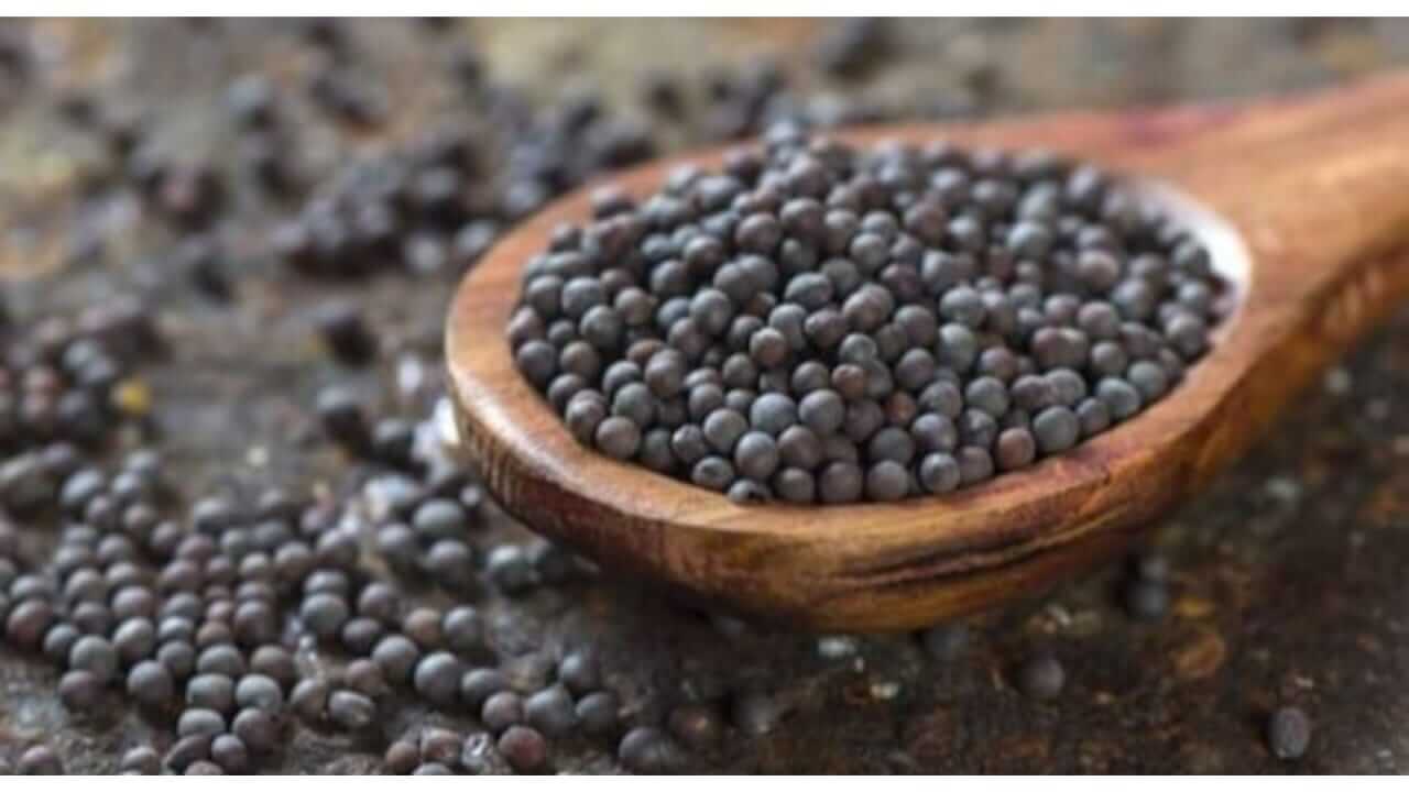 Vastu Tips : आर्थिक समस्यांनी त्रस्त असाल तर करा मोहरीचे ‘हे’ सोपे उपाय