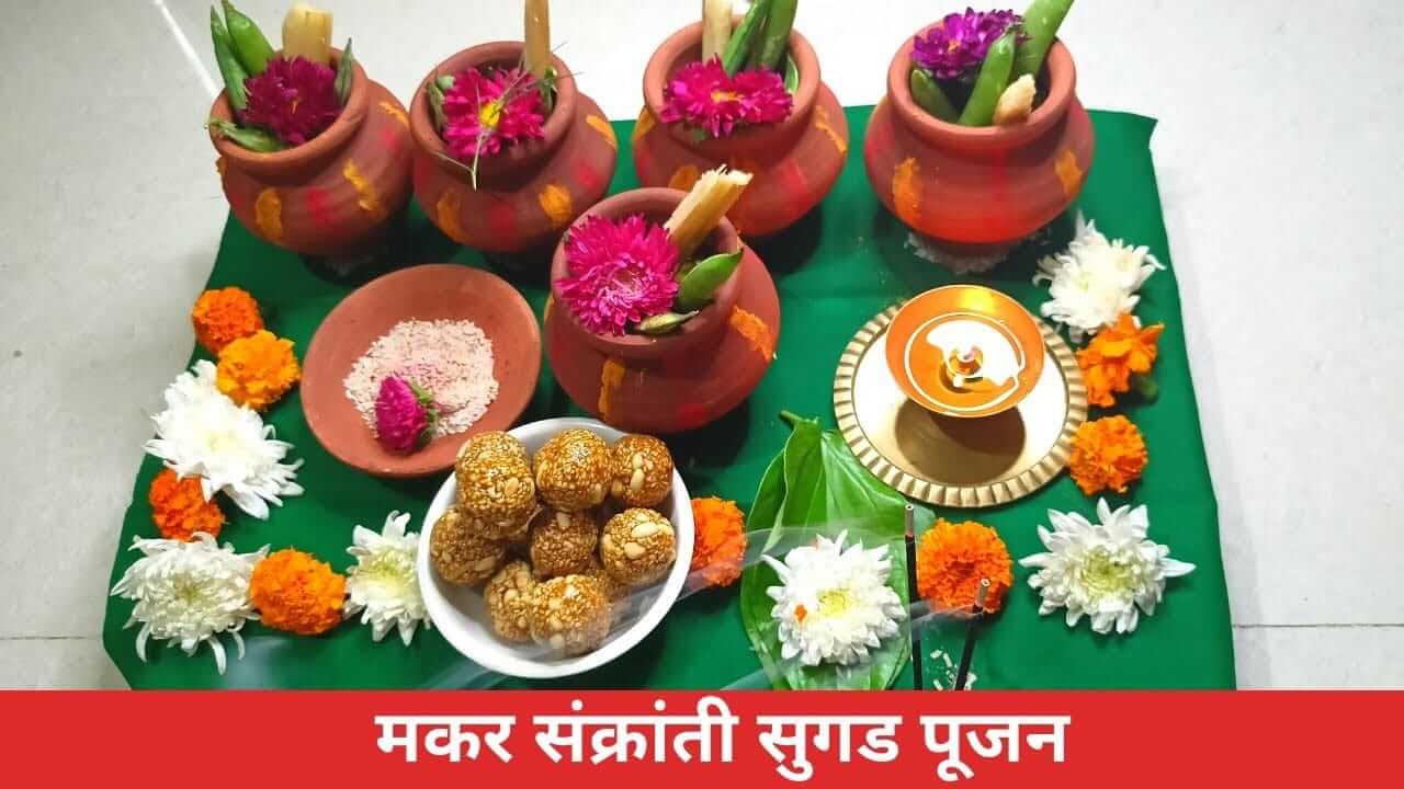 Makar Sankranti 2026 : मकर संक्रांतीनंतर पूजलेल्या सुगडयांचे दुसऱ्या दिवशी काय करायचे? जाणून घ्या..