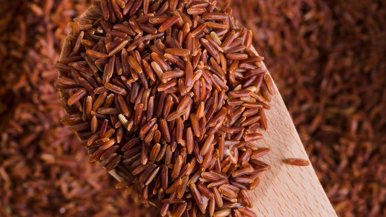 आरोग्यासाठी वरदान आहे लाल तांदळाचे पाणी, जाणून घ्या फायदे आणि सेवन करण्याची पद्धत