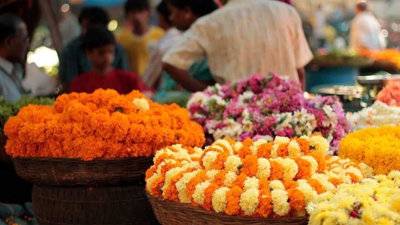 Religion : कोणत्या देवाला कोणत्या रंगाचे फूल अर्पण करावे ? जाणून घ्या…