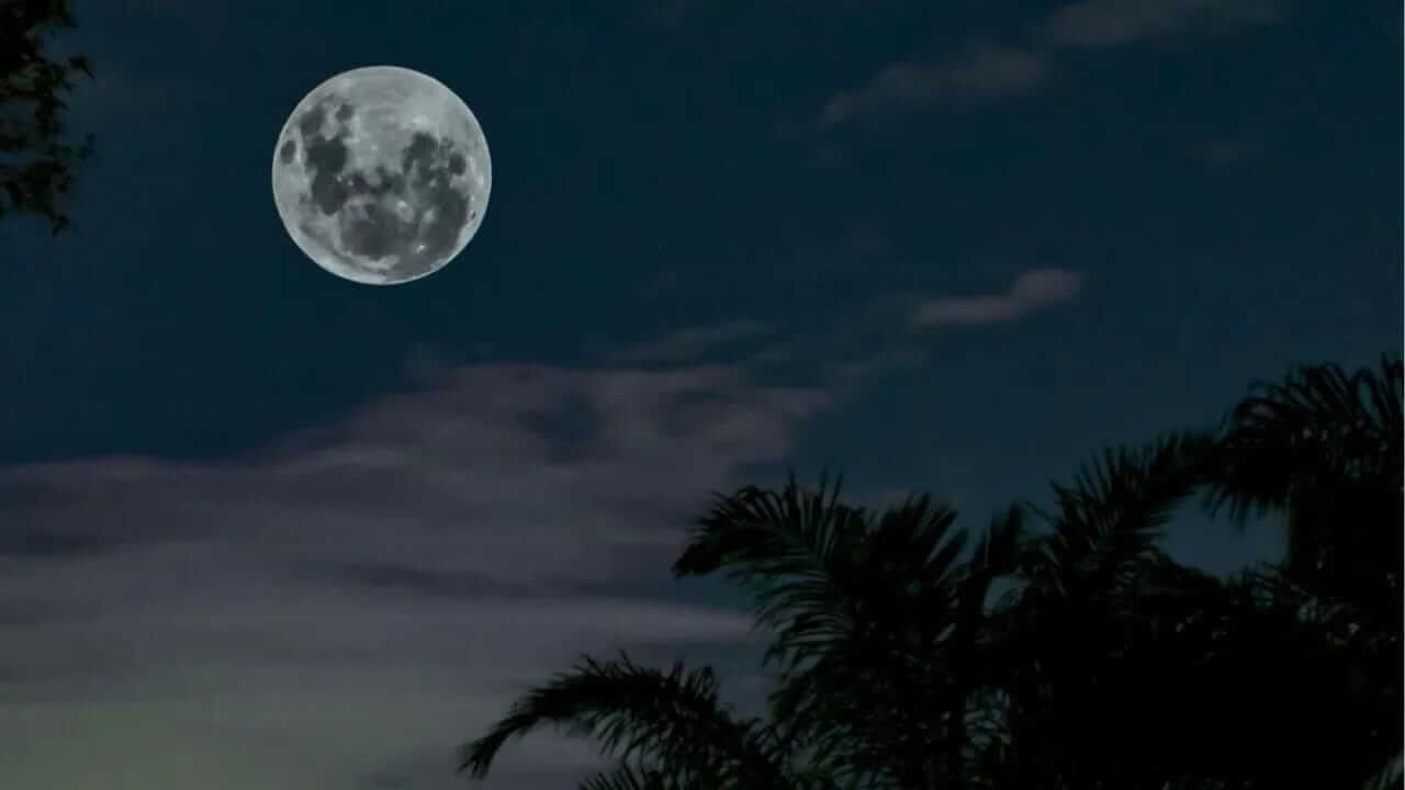 Paush Purnima 2026 : पौष पौर्णिमेला करा विष्णू सहस्रनाम स्तोत्राचे पठण, भगवान विष्णूंची राहील अखंड कृपा