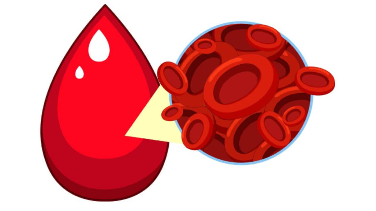 शरीरातील रक्ताभिसरण सुधारतात ‘हे’ आयुर्वेदिक पदार्थ, जाणून घ्या फायदे