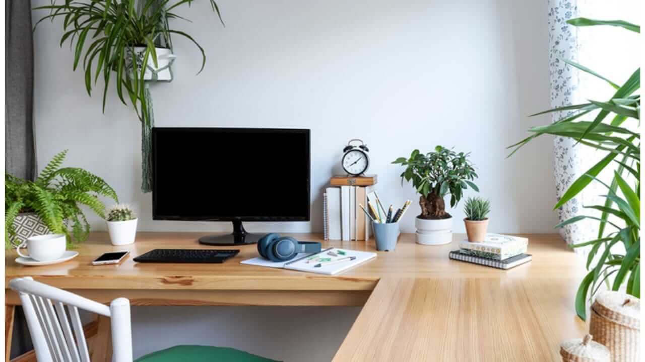 Vastu Shastra : तुम्हीही ऑफिसच्या डेस्कवर फुलं ठेवत असाल तर ‘या’ चुका टाळा, नाहीतर प्रगतीत येतील अडथळे…