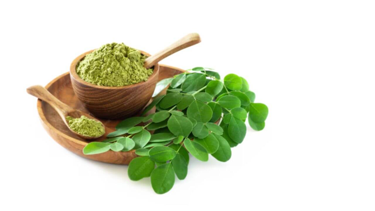 मुलांना रोज खायला द्या शेवग्याची पाने, मेंदू आणि हाडे मजबूत होण्यापासून मिळतील अनेक फायदे