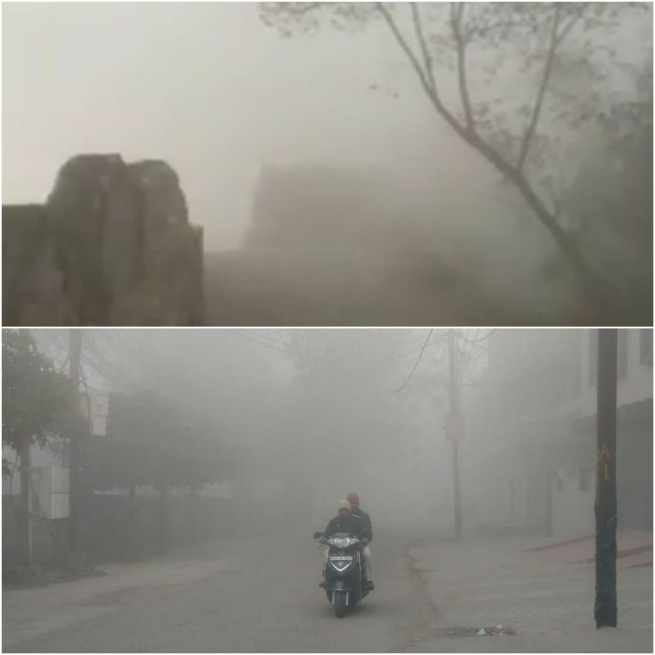 Weather : मध्यप्रदेश में यहां दिखा कश्मीर जैसा नजारा, छाई घने कोहरे की चादर