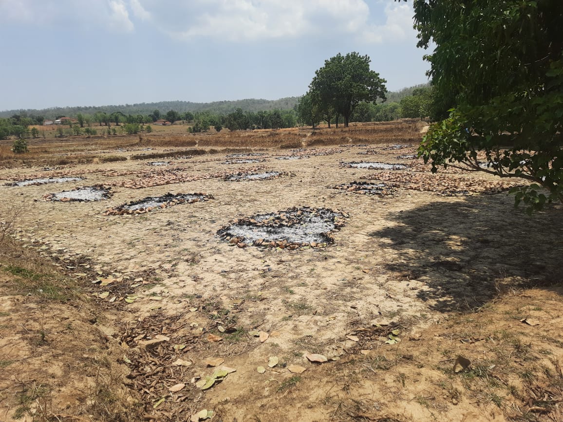 बालाघाट के मलाजखंड दलम के नक्सलियों ने तेंदुपत्ता को लगाई आग, लाखों के नुकसान की आशंका