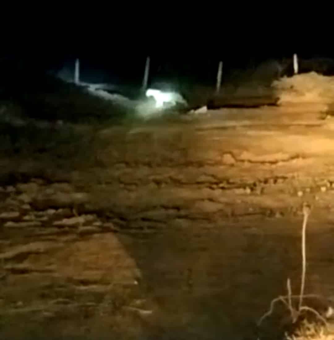 शिवपुरी : तेंदुओं के आतंक से ग्रामीणों में दहशत, वन विभाग की सर्चिंग जारी