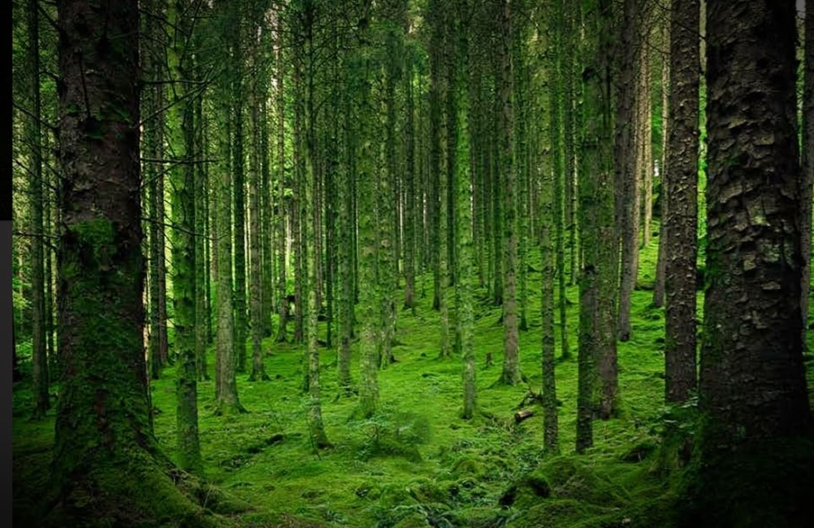 MP News : इस बड़ी तैयारी में शिवराज सरकार, कई जिलों को मिलेगा लाभ, पालिसी को जल्द मिलेगी मंजूरी!