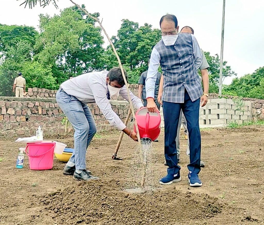 Tokyo Olympics 2021: ओलंपिक में भारत की जीत के लिए किया गया पौधारोपण, सीएम ने भी गुलमोहर का पौधा लगाकर दिया पर्यावरण का संदेश