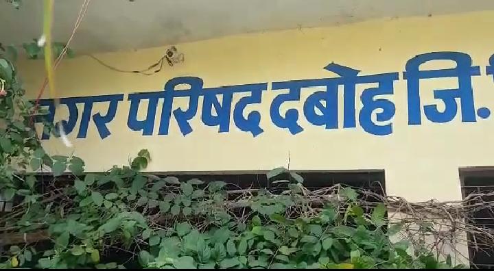 मृत गायों को कचरे की गाड़ी में ले जाने से गुस्साए गौ भक्त, नगरपालिका के कर्मचारियों पर कार्रवाई की मांग