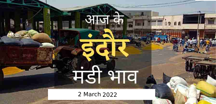 Mandi bhav: 2 मार्च 2022 के Today’s Mandi Bhav के लिए पढ़े सबसे विश्वसनीय खबर