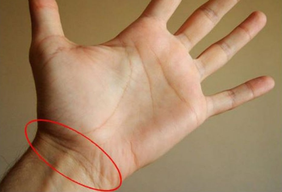 Astrology: कलाई की इन रेखाओं में छुपा है आपकी उम्र का राज, साथ ही जाने अमीर होने का सीक्रेट