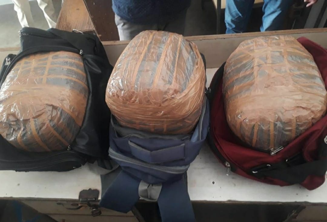 गांजा तस्कर महिला – पुरुष मित्र गिरफ्तार, 2 लाख 70 हजार का गांजा जब्त