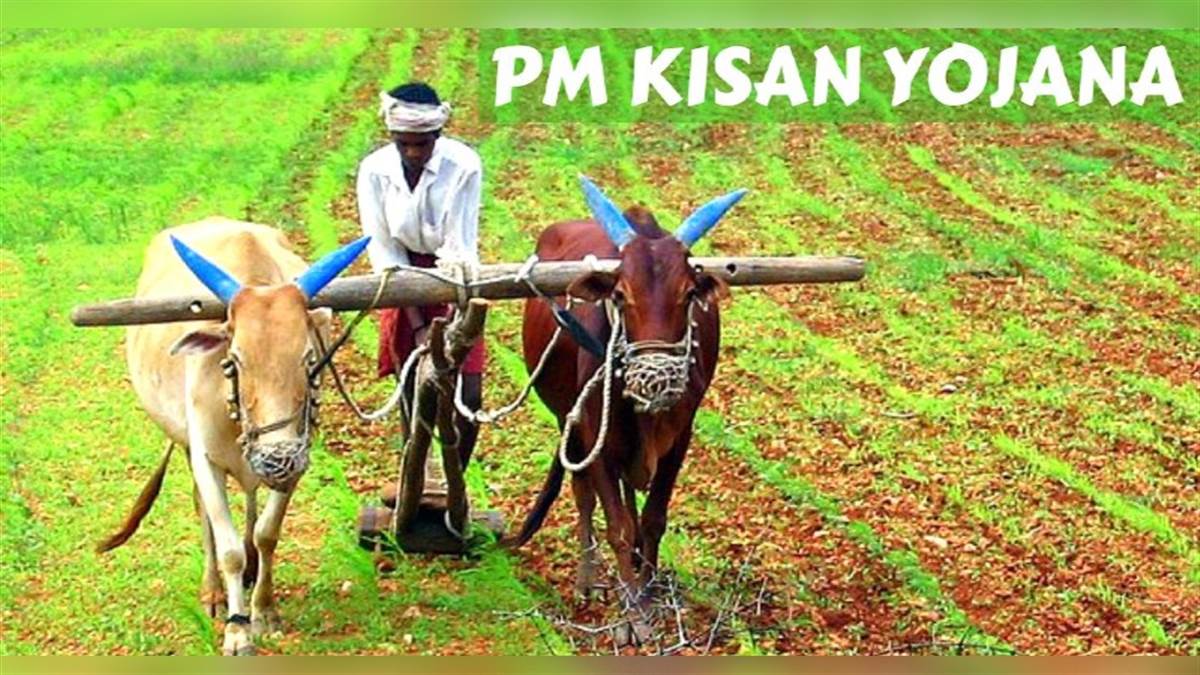 होली के बाद आएगी PM KISAN की 22वीं किस्त! जल्द खाते में आएंगे दो-दो हजार, फटाफट अपडेट कर लें ये दस्तावेज