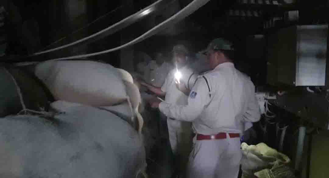 Damoh News : गंगा-जमना स्कूल के संचालक के दाल मिल व घर पर जीएसटी का छापा