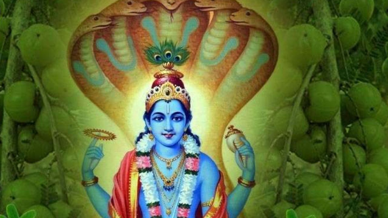 Amalaki Ekadashi 2024: पाना चाहते हैं धन दौलत और संतान सुख? आमलकी एकादशी पर जरूर करें ये खास उपाय, मिलेगा लाभ
