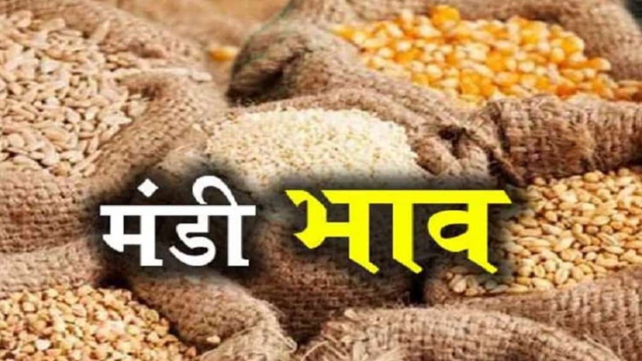 Mandi Bhav: मूंग के दाम में हुई जबरदस्त गिरावट, डॉलर चना तेज, देखें 22 नवंबर का ताजा मंडी रेट