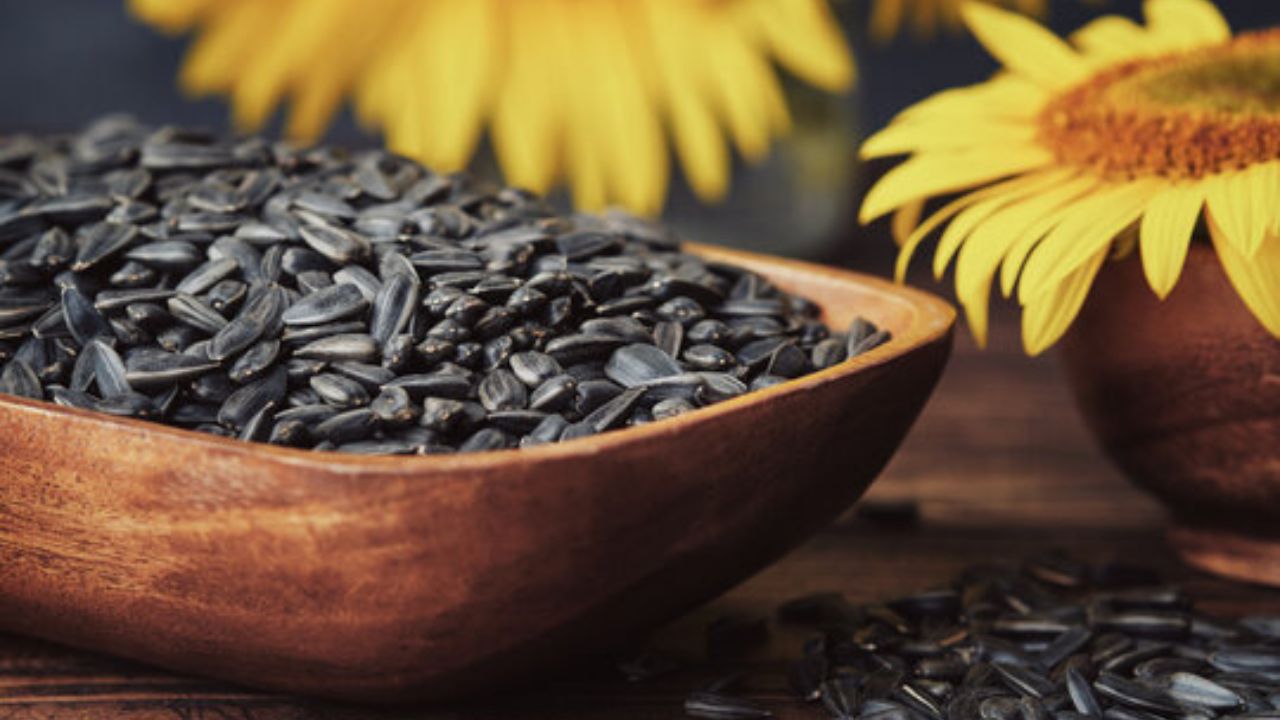 Sunflower Seeds: सेहत के लिए वरदान हैं सूरजमुखी के बीज, डाइट में करें शामिल, दूर होंगी कई बीमारियाँ