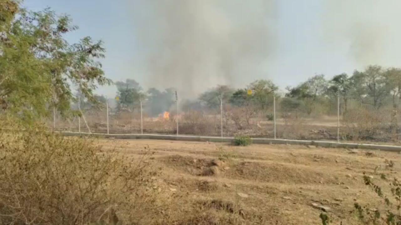 रावली कुड़ी वन्य अभ्यारण क्षेत्र में लगी आग, पशु पक्षी झुलसे