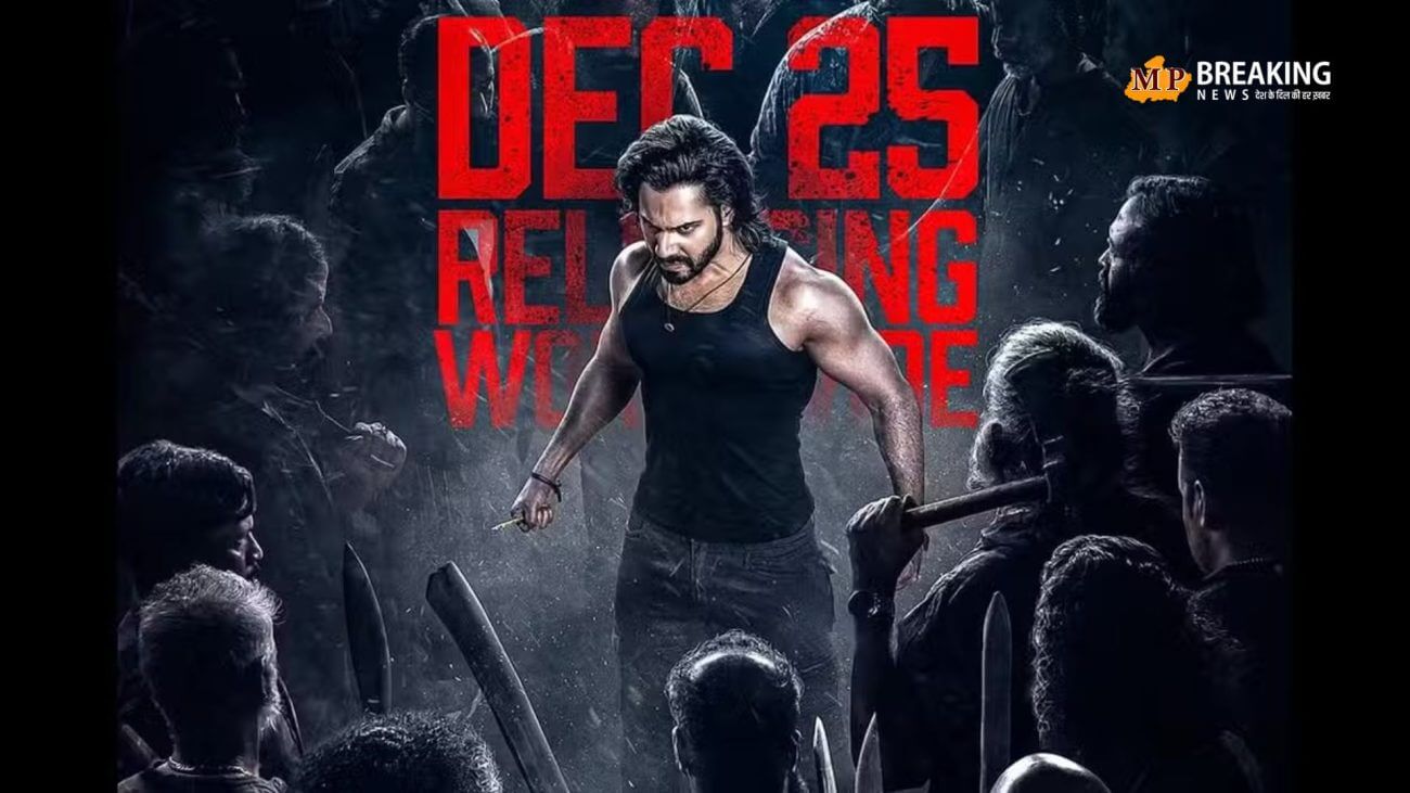 आज सिनेमाघरों में रिलीज हुई वरुण धवन की फिल्म ‘बेबी जॉन’, यहां जानिए फिल्म क्रिटिक की ओर से कितनी दी जा रही रेटिंग?