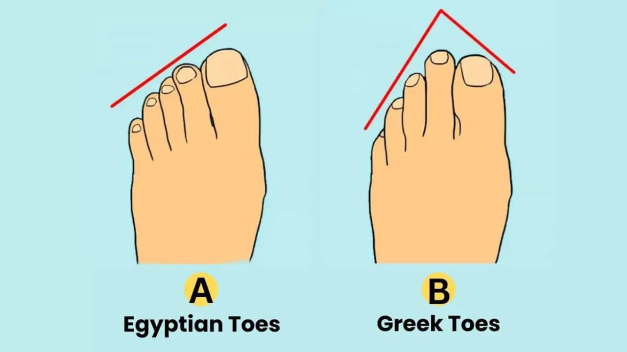 Personality Test: पैर को उंगलियों से पहचानें कैसा है व्यक्ति, आकार खोलेगा स्वभाव के राज