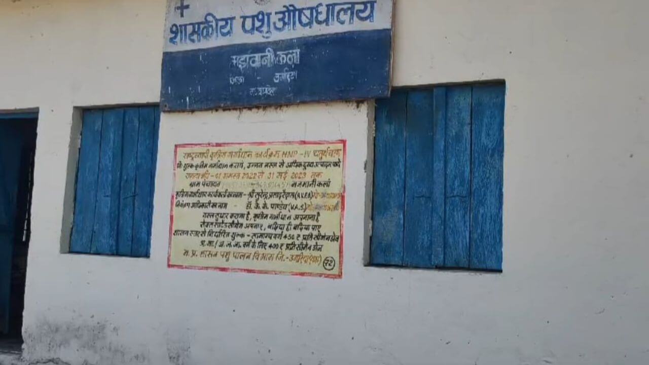पशुओं की दवा का पैसा खा गए इंसान, 26 लाख का घोटाला, 14 फरवरी को कोर्ट में कलेक्टर को पेश होने के आदेश