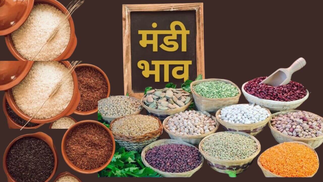 22 जुलाई के Mandi Bhav जानिए गेहूं, चना और सोयाबीन के आज के ताज़ा रेट