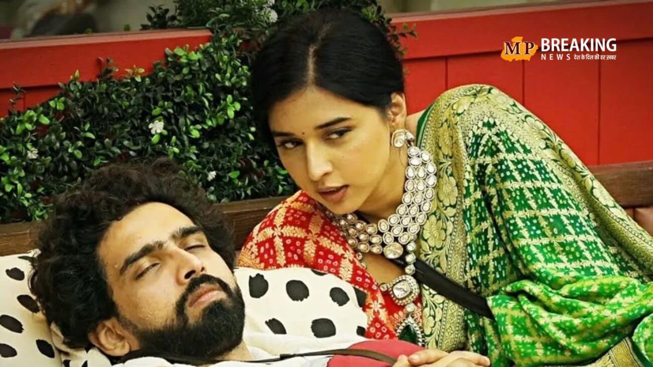 क्या तान्या मित्तल और अमाल के बीच बढ़ रही नजदीकियां? या फिर खेला जा रहा है लवर कार्ड? पढ़ें यह खबर