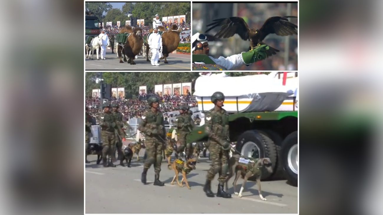 Republic Day 2026: कर्तव्य पथ पर भारत के मूक “हिम योद्धा” सियाचिन के साथी बैक्ट्रियन ऊंट और जांस्कर पोनी ने बढ़ाई शान