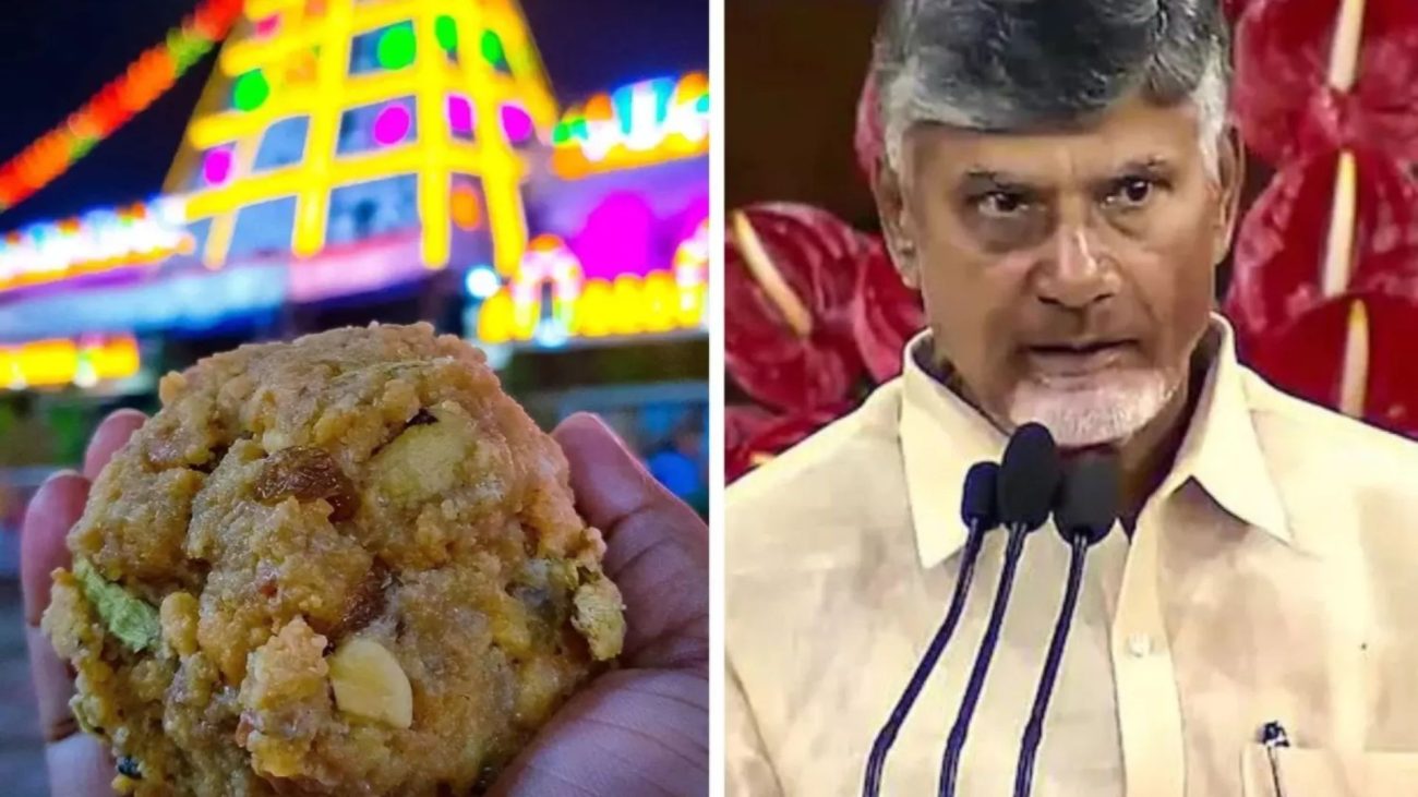 आंध्र प्रदेश के सीएम चंद्रबाबू नायडू का बड़ा आरोप, बोले- ‘YSRCP सरकार में बाथरूम क्लीनर से बने घी से बनता था तिरुपति लड्डू’