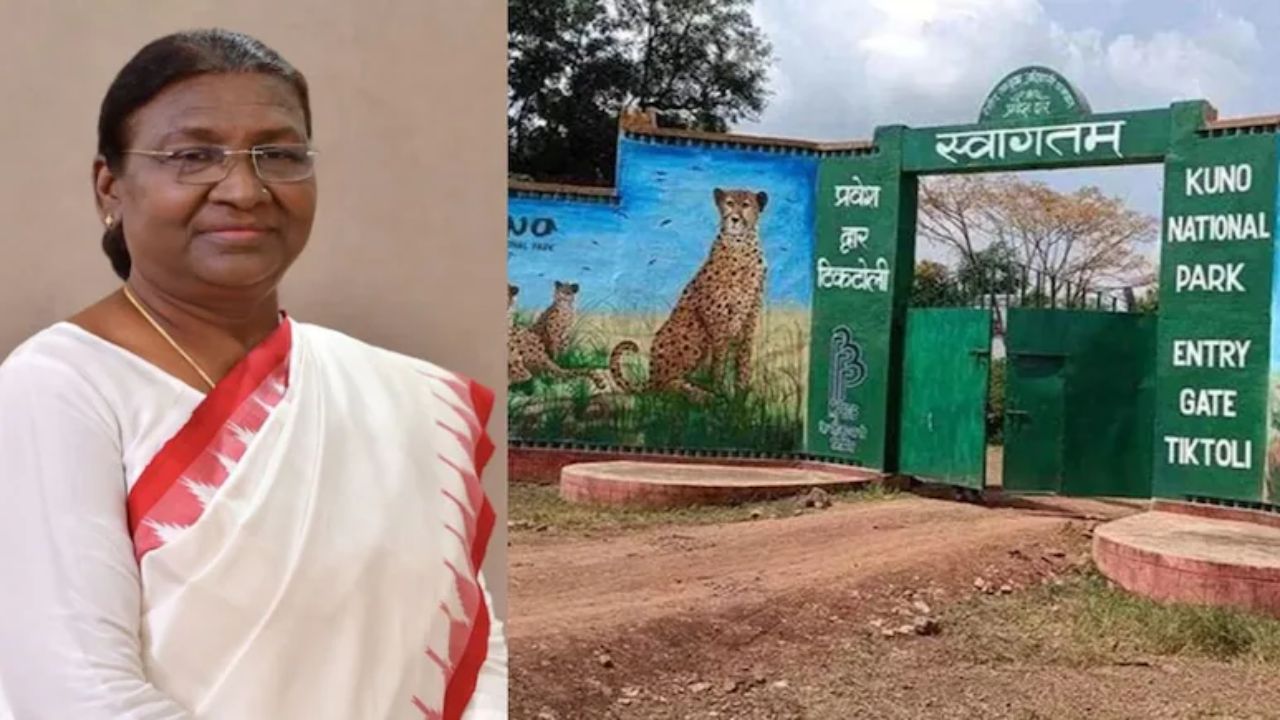 राष्ट्रपति द्रौपदी मुर्मू के कूनो दौरे से पहले हाई अलर्ट, 1300 जवानों के सुरक्षा घेरे में रहेगा पूरा पार्क
