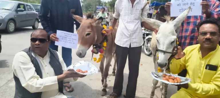 मानसून की बेरुखी पर अनोखा टोटका, भोपाल में गधों को मिठाई खिलाकर की अच्छी वर्षा की कामना, चर्चा का विषय बना आयोजन