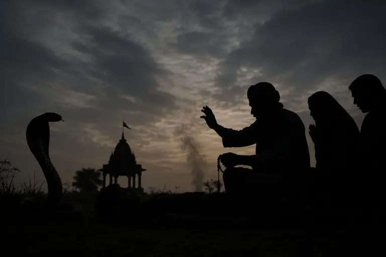 अंधविश्वास पड़ा भारी…कोबरा ने काटा तो झाड़-फूंक में उलझे परिजन, इलाज में देरी से 15 वर्षीय किशोर की हालत गंभीर
