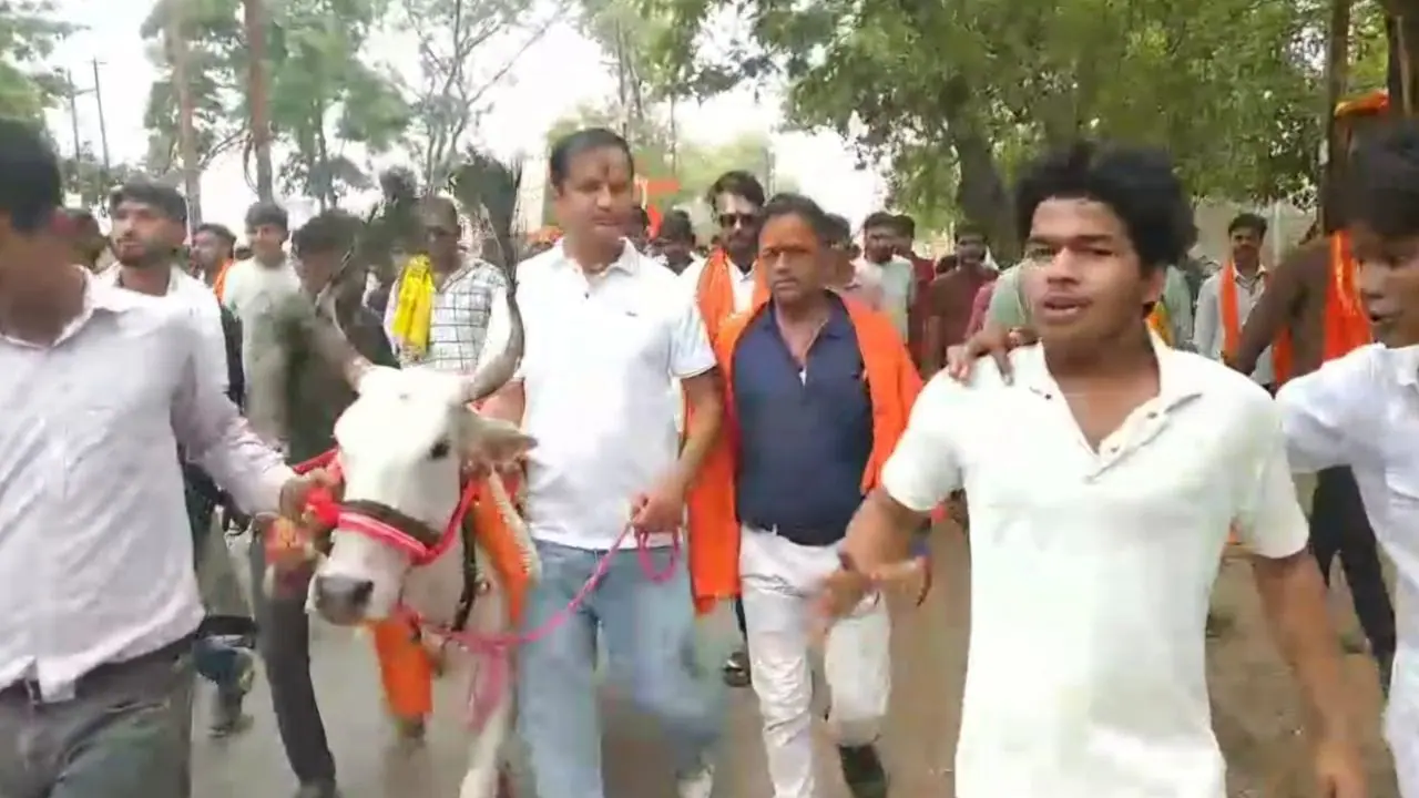 ‘गौ माता को राष्ट्र माता घोषित करो’ के नारों से गूंजा दमोह, गौ सेवकों ने सरकार के नाम सौंपा पांच लाख हस्ताक्षरों वाला ज्ञापन