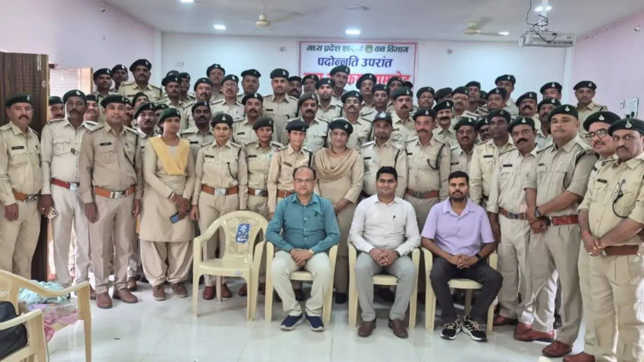 दमोह वन विभाग पदोन्नति समारोह में 64 वनपाल और 17 उप वन क्षेत्रपाल को मिली नई जिम्मेदारी, पदोन्नति देकर किया गया सम्मानित