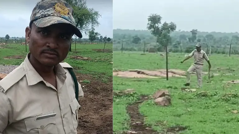 पन्ना टाइगर रिजर्व में शराब के नशे में फॉरेस्ट गार्ड का हंगामा, वायरल वीडियो के बाद विभाग ने किया सस्पेंड